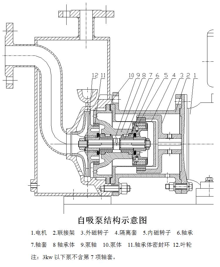 自吸式磁力泵结构示意图